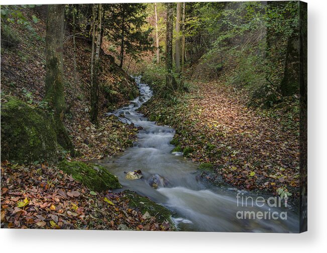 Photograph Acrylic Print featuring the photograph Small brook by Bruno Santoro