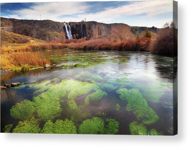 Scenics Acrylic Print featuring the photograph Snake River And Thousand Springs, Idaho by Anna Gorin