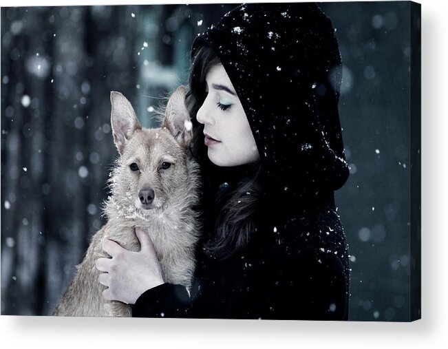 Pet Acrylic Print featuring the photograph Snow walk by Cambion Art