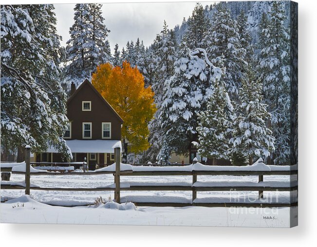 Snowed In At The Ranch Acrylic Print featuring the photograph Snowed In At The Ranch by Mitch Shindelbower
