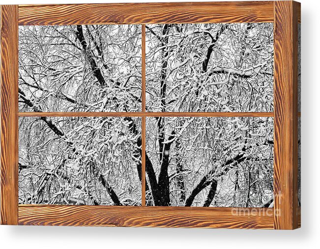 Windows Acrylic Print featuring the photograph Snowy Tree Branches Barn Wood Picture Window Frame View by James BO Insogna