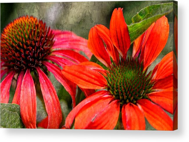 Flower Acrylic Print featuring the photograph So Happy Together....... by Tanya Tanski