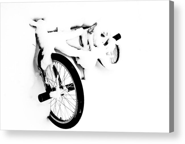 Bike Acrylic Print featuring the photograph Soft Spoken by Darcy Dietrich