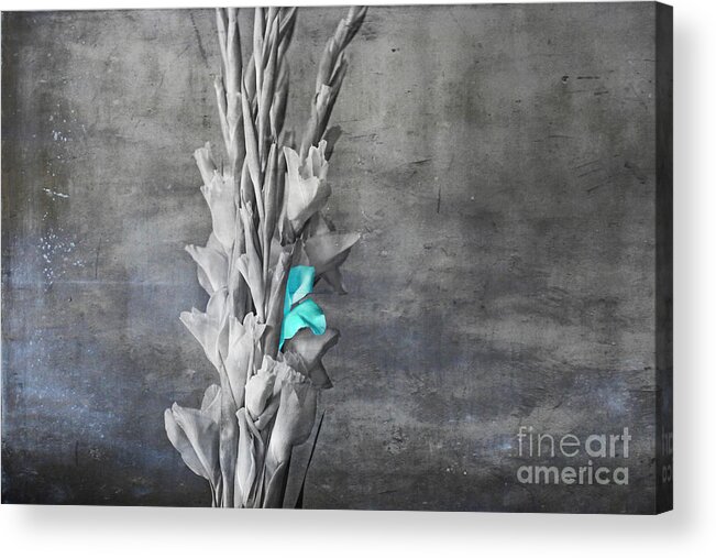 Blue Acrylic Print featuring the digital art Some Blue by Lori Frostad
