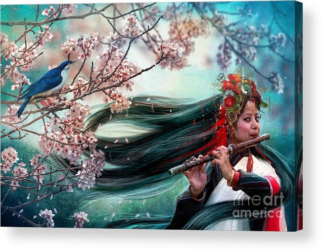 Aimee Stewart Acrylic Print featuring the photograph Songbird by MGL Meiklejohn Graphics Licensing