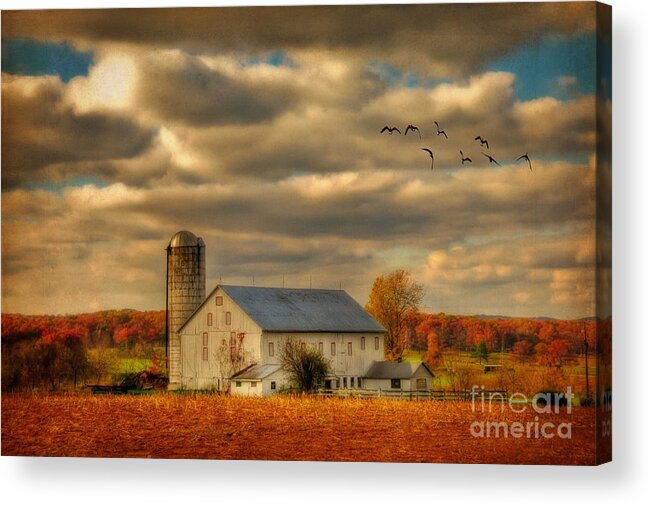 White Barn Acrylic Print featuring the photograph South For The Winter by Lois Bryan