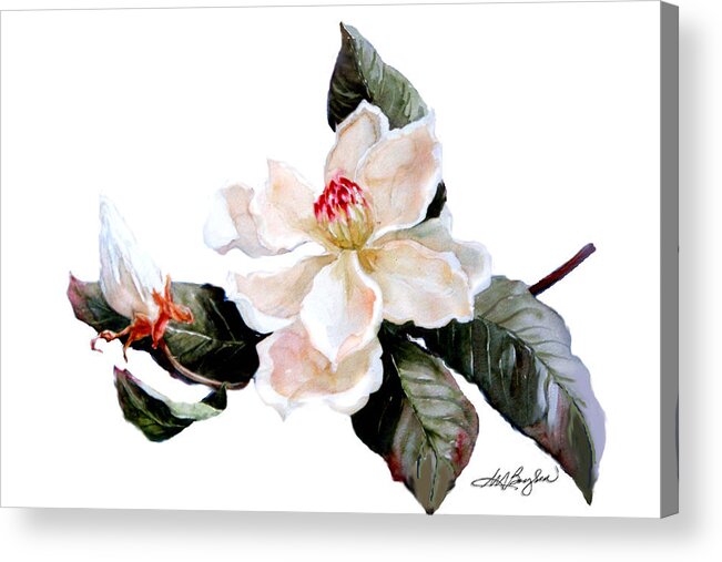 Southern Magnolia Acrylic Print featuring the painting Southern Magnolia by Maryann Boysen