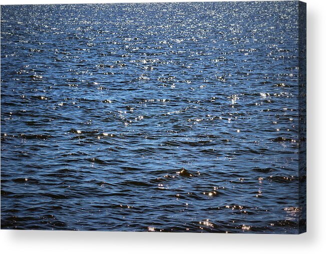 Sparkle Acrylic Print featuring the photograph Sparkle by Beth Vincent