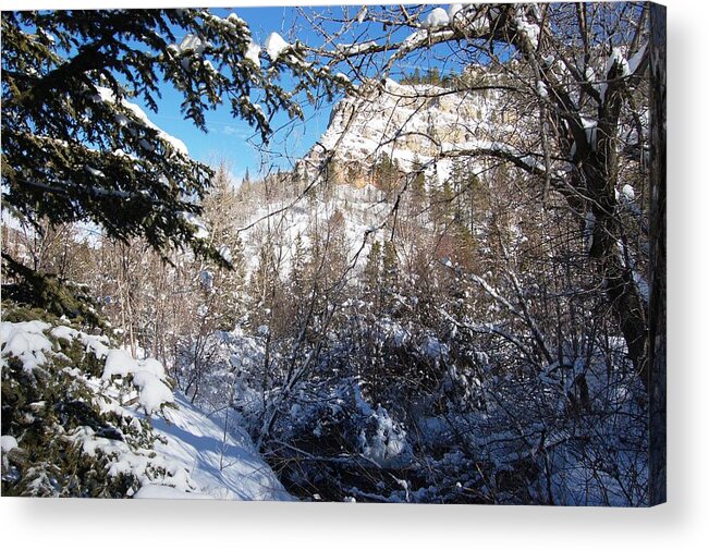 Dakota Acrylic Print featuring the photograph Spearfish Canyon in Snow by Greni Graph