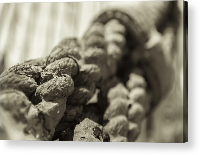 Rope Acrylic Print featuring the photograph Spliced and Bound Black and White Sepia by Scott Campbell