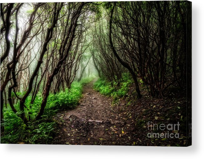 Brp Acrylic Print featuring the photograph Spooky Trail by Deborah Scannell