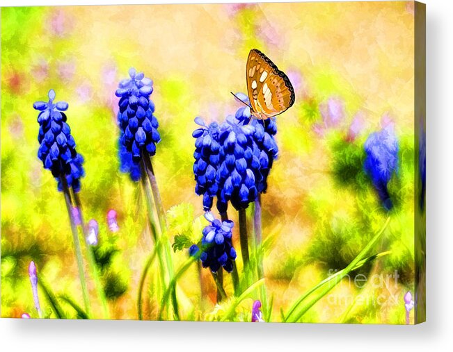April Acrylic Print featuring the photograph Spring Magic by Darren Fisher