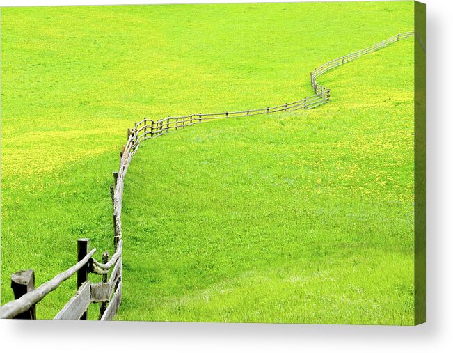 Grass Acrylic Print featuring the photograph Spring Meadow by Ra-photos