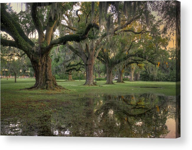 Flooded Acrylic Print featuring the photograph Spring Rain in New Orleans by Ray Devlin