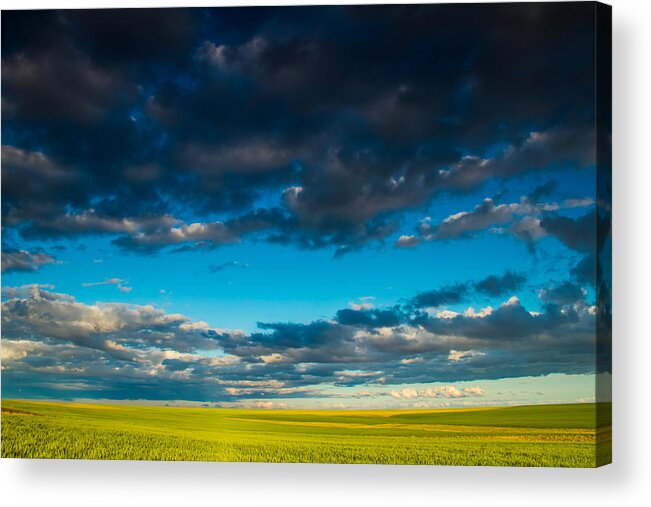 Spring Sunset Acrylic Print featuring the photograph Spring sunset by Kunal Mehra