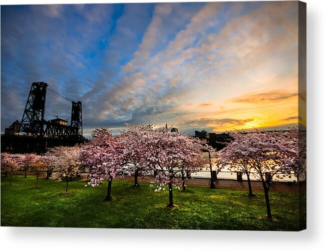 Spring Acrylic Print featuring the photograph Springtime in Portland by Brian Bonham
