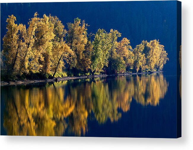 Columbia River Basin Acrylic Print featuring the photograph St. Joe River Reflections by Theodore Clutter