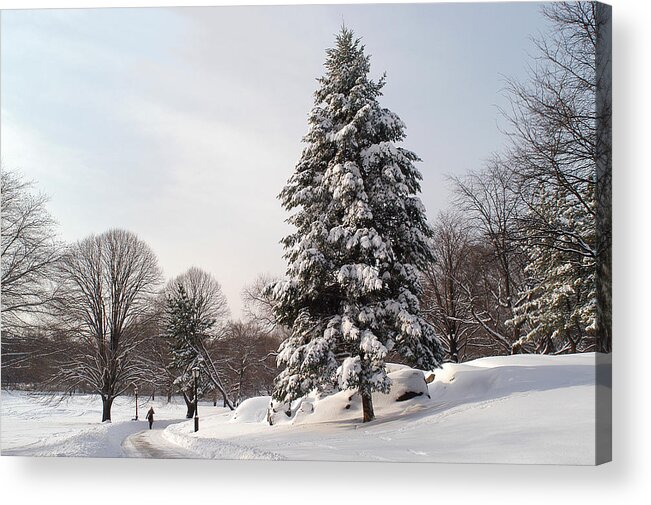 Snow Acrylic Print featuring the photograph Standing Still by Yue Wang