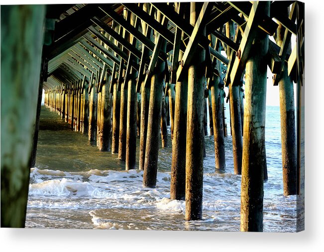 Myrtle Acrylic Print featuring the photograph Standing Strong by Jimmy McDonald