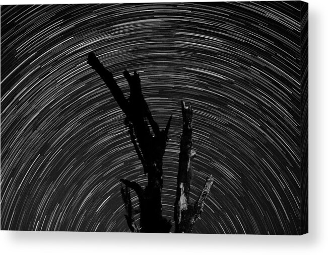 Photograph Acrylic Print featuring the photograph Star Trails by Larah McElroy