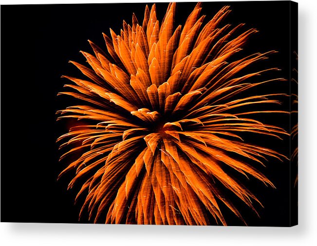 Fireworks Acrylic Print featuring the photograph Starburst IV by Ronda Broatch