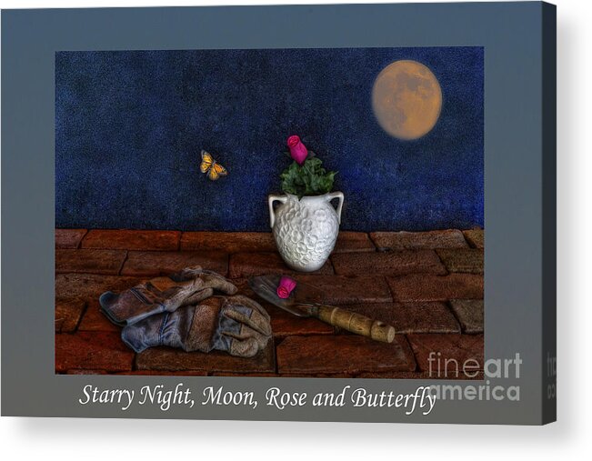 Rose Acrylic Print featuring the photograph Starry Night Moon Rose and Butterfly by Gene Bleile Photography 