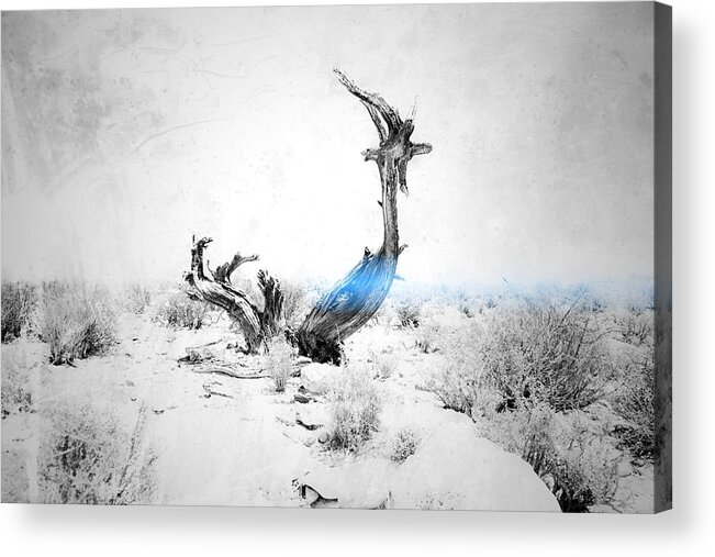 Southwest Acrylic Print featuring the photograph Start At The End by Mark Ross