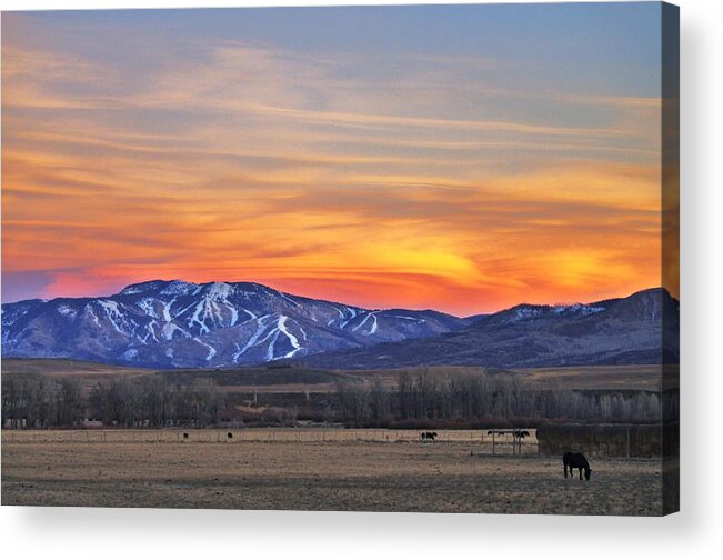 Steamboat Acrylic Print featuring the photograph Steamboat Alpenglow by Matt Helm