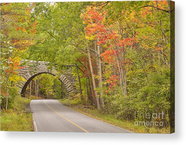 Bridge Acrylic Print featuring the photograph Stone arch bridge in Acadia National Park by Ken Brown