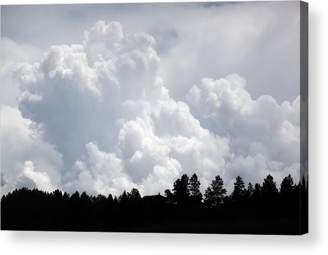 San Juan Mountains Acrylic Print featuring the photograph Storm Cloud Forest Silhouette by Amygdala imagery