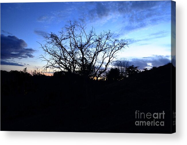 Stormy Acrylic Print featuring the photograph Stormy Night by Bridgette Gomes