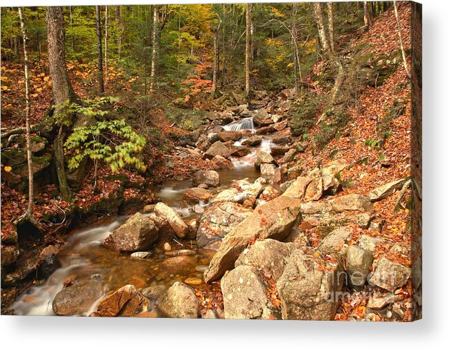 Franconia Notch Acrylic Print featuring the photograph Streaming Through Franconia Notch by Adam Jewell