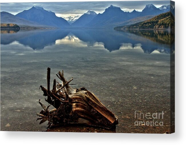 Glacier National Park Acrylic Print featuring the photograph Stumped by Adam Jewell