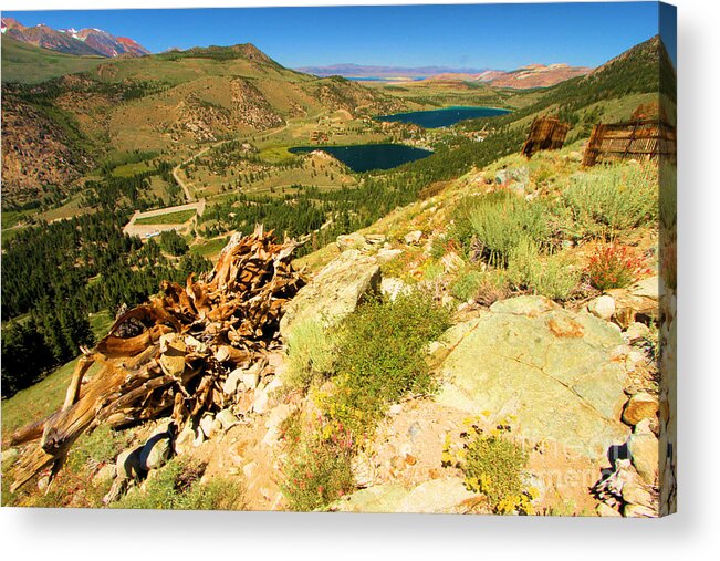 June Mountain Acrylic Print featuring the photograph Summer At June by Adam Jewell