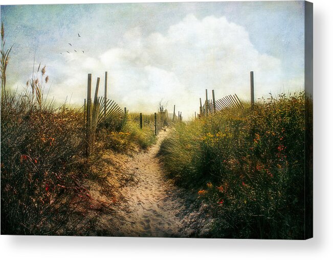 Summer Acrylic Print featuring the photograph Summer Pathway by John Rivera
