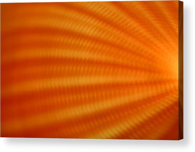 Abstract Acrylic Print featuring the photograph Sun it Rises by Dazzle Zazz