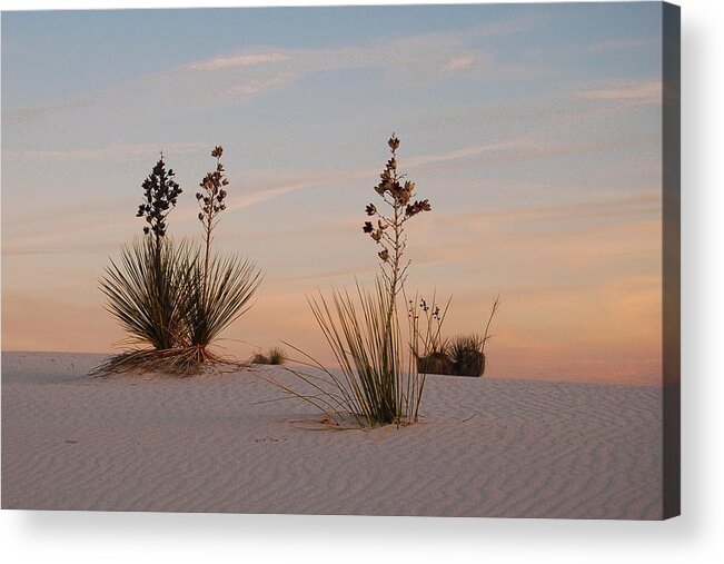 Dakota Acrylic Print featuring the photograph Sundown at White Sands by Greni Graph