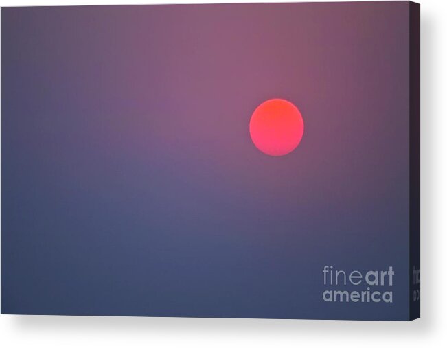 Sun Acrylic Print featuring the photograph Sundown by Heiko Koehrer-Wagner