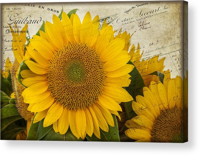 Flower Acrylic Print featuring the photograph Sunflower Letters by Cathy Kovarik