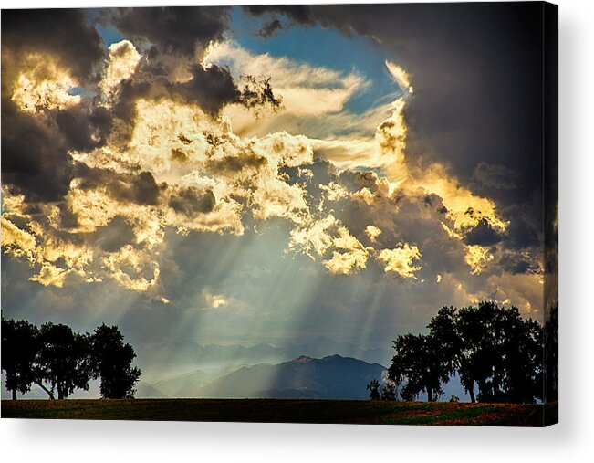 Forest Acrylic Print featuring the photograph Sunlight Raining Down From the Heavens by James BO Insogna