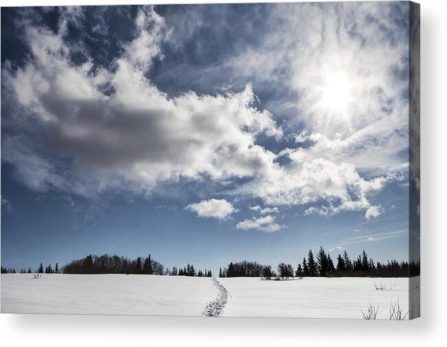Alaska Acrylic Print featuring the photograph Sunny winter day by Michele Cornelius