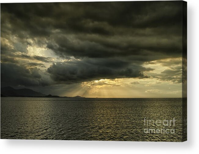 Michelle Meenawong Acrylic Print featuring the photograph Sunrays by Michelle Meenawong