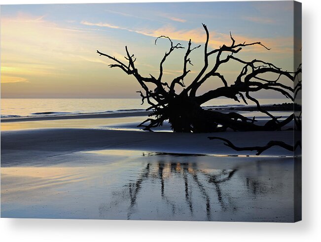 Beach Photographs Acrylic Print featuring the photograph Sunrise at Driftwood Beach 6.6 by Bruce Gourley