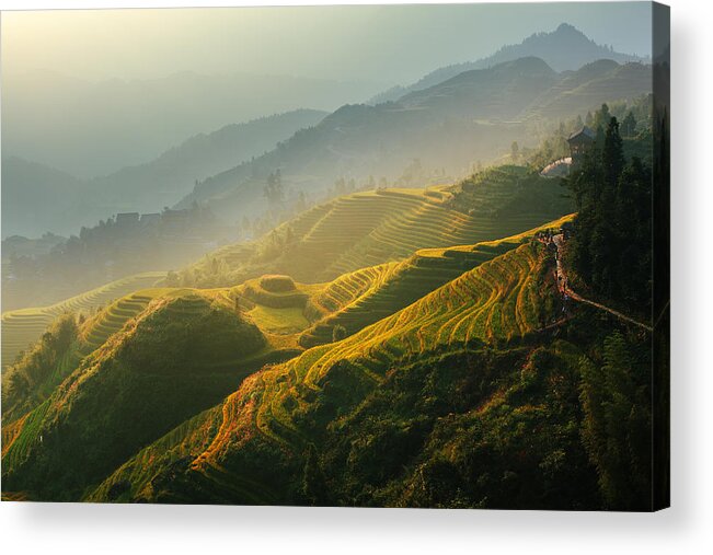 Guangxi Acrylic Print featuring the photograph Sunrise at Terrace in Guangxi China 2 by Afrison Ma