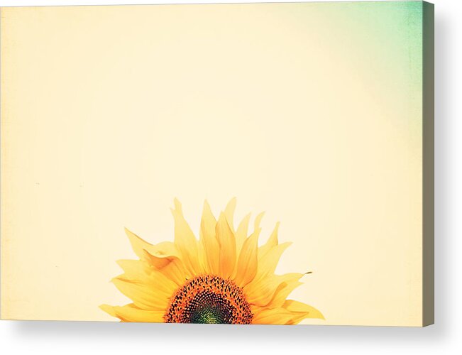 Summer Acrylic Print featuring the photograph Sunrise by Carrie Ann Grippo-Pike
