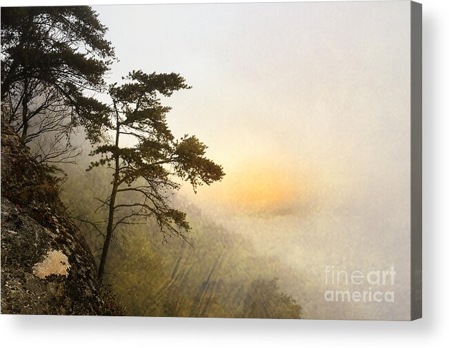 Fog Acrylic Print featuring the photograph Sunrise in the Mist - D004200a-a by Daniel Dempster
