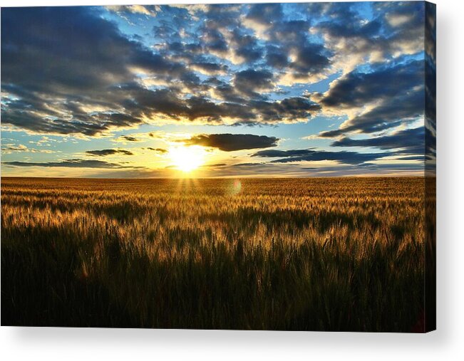 Sunrise Acrylic Print featuring the photograph Sunrise on the wheat field by Lynn Hopwood