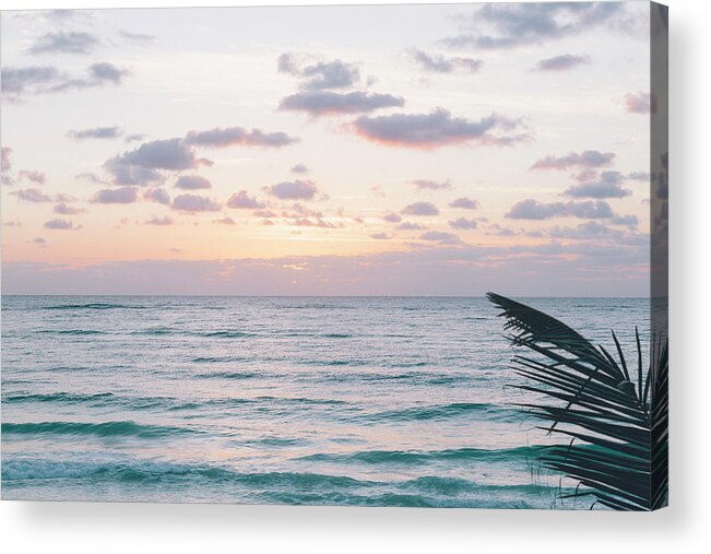 Tranquility Acrylic Print featuring the photograph Sunrise Over Ocean Waves With Palm by Sasha Weleber