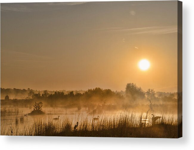 Sunrise Acrylic Print featuring the photograph Sunrise With The Geese by Beth Sawickie
