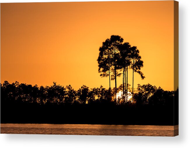 Back-lighting Acrylic Print featuring the photograph Sunset at Long Pine Key Pond by Andres Leon